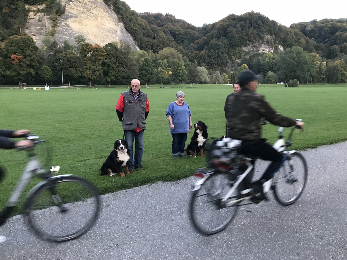 Praktische Pruefung Nationales Hundehalterbrevet web